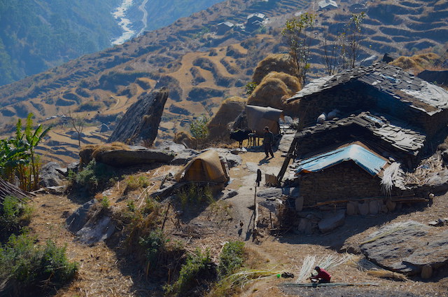 Vallée de Langtang / Népal
