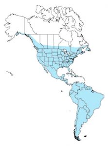 colibri repartition geographique