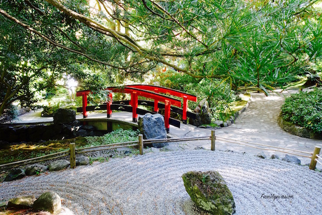 Meditation - pont japonais