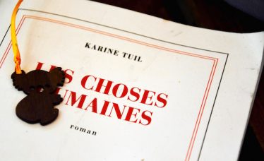 Karine Tuil - Les choses de la vie