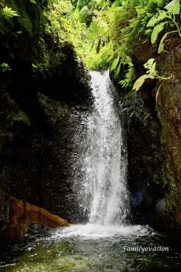 Cascade Dany - familyevasion