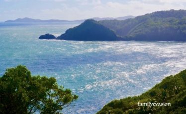 Chant de la nature - Marigot