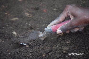 Fouilles archeologiques - Basse-pointe