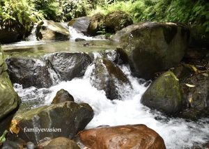cascade Morestion - eau en Martinique