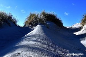 Ombres de dunes