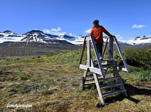 Carolle paysage montagne Islande